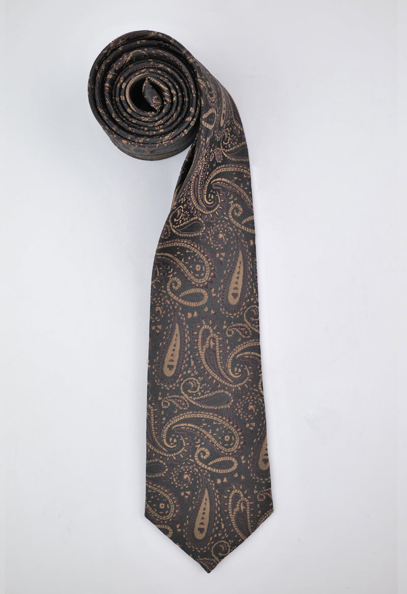 Brown Paisley Necktie & Pocket Square Set