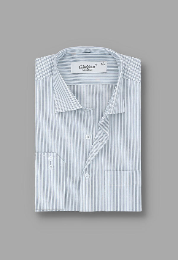 Blue striped shirt / Exec072401-08